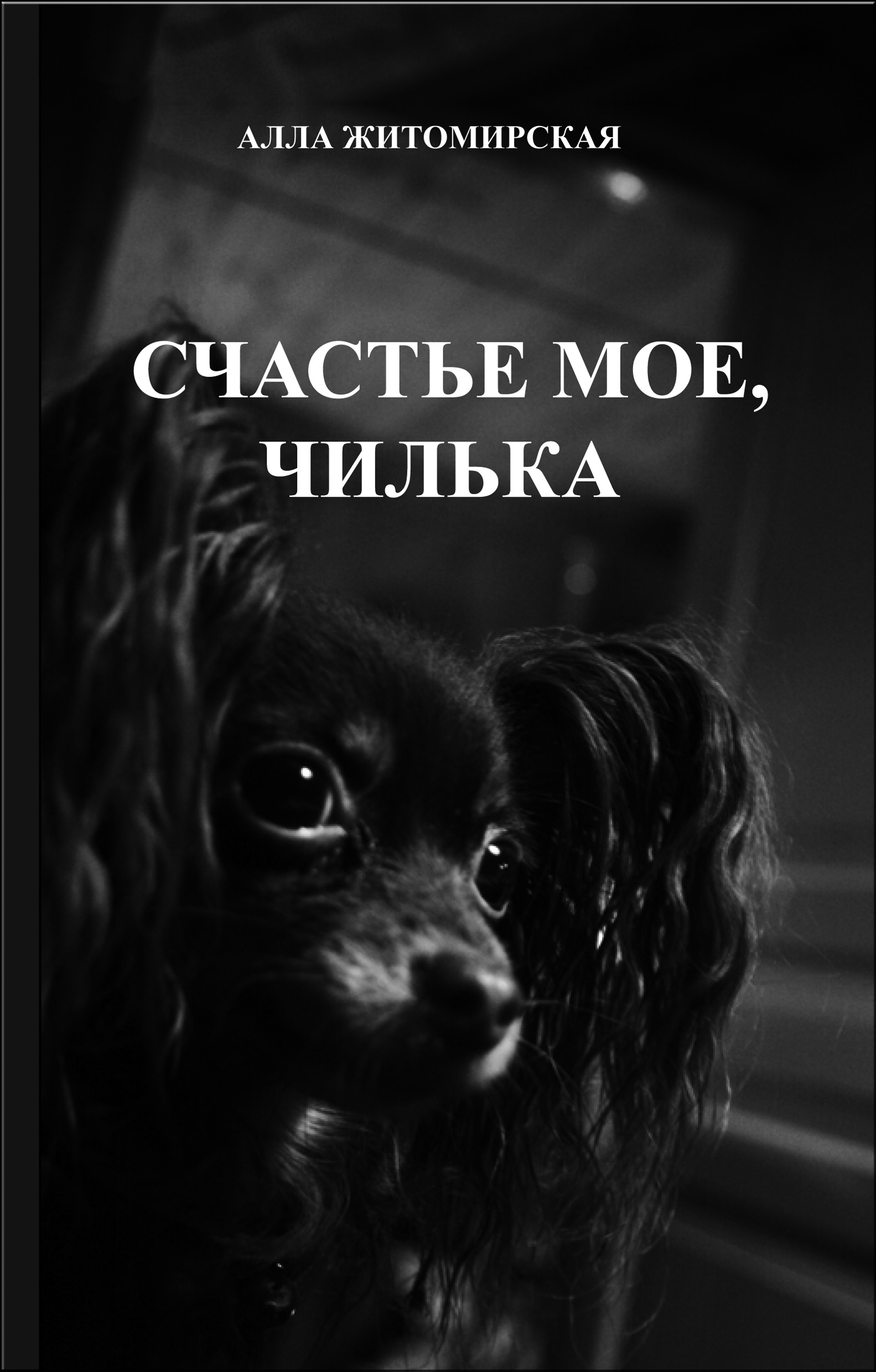 Житомирская А. Счастье моё, Чилька